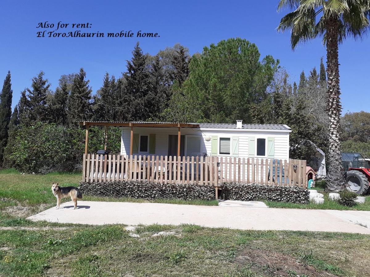 Appartement El Toro Alhaurin Alhaurin el Grande Exterior photo